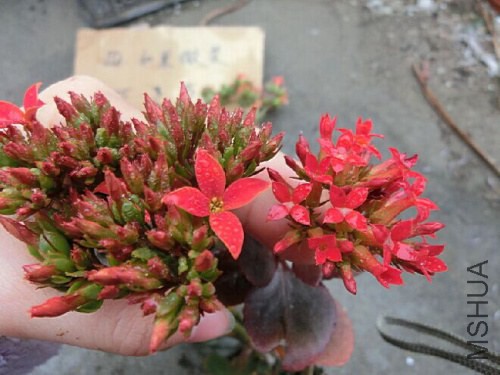 QQͼƬ20150308101256.jpg