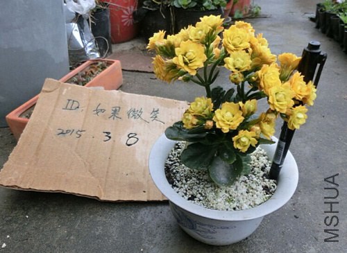 QQͼƬ20150308101430.jpg