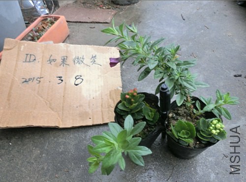 QQͼƬ20150308101535.jpg