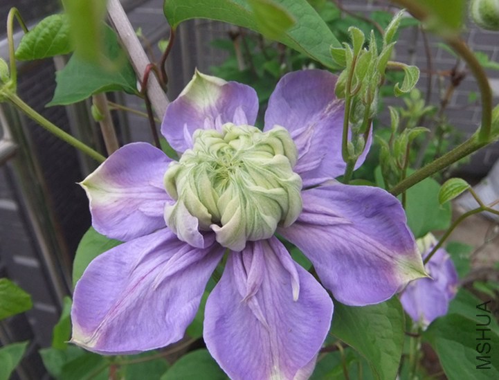 DSCF3435_����.jpg