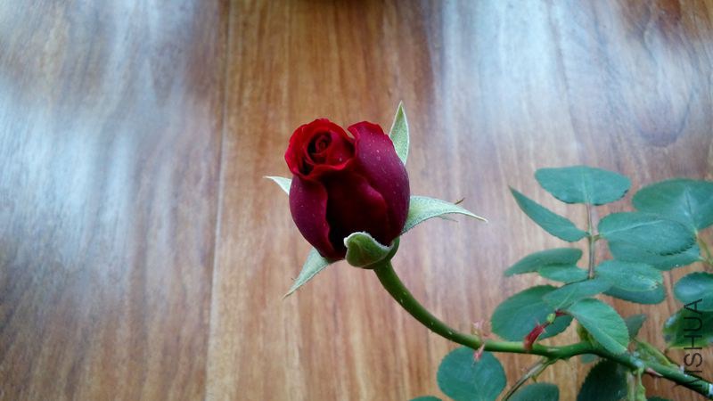 DSC_0025 (34)_����.jpg
