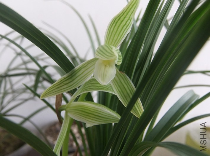 ������ʱ����Ļ���