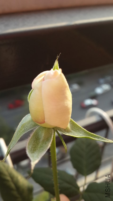 20150110_163234.jpg