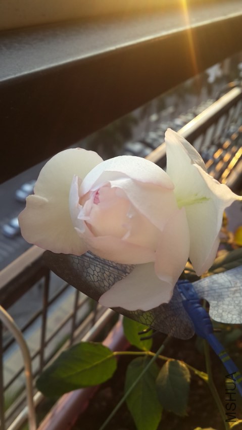 20150114_173003.jpg