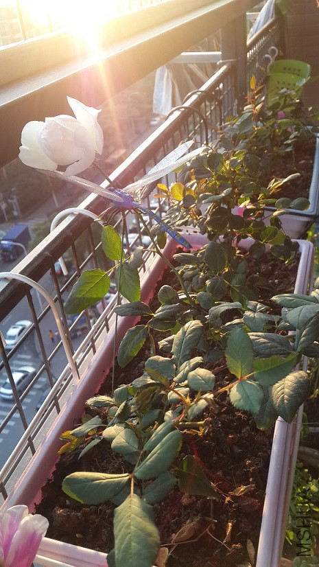 20150114_173107.jpg