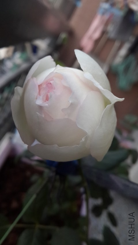 20150115_070640.jpg