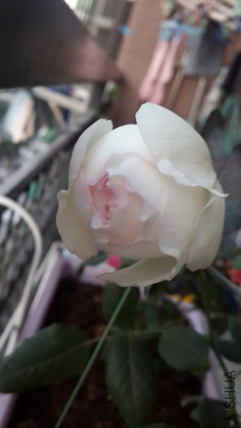 20150115_070919.jpg
