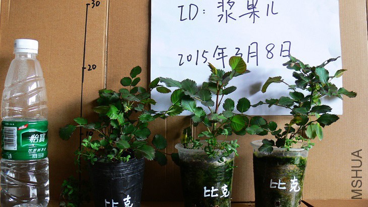 P1090839.jpg
