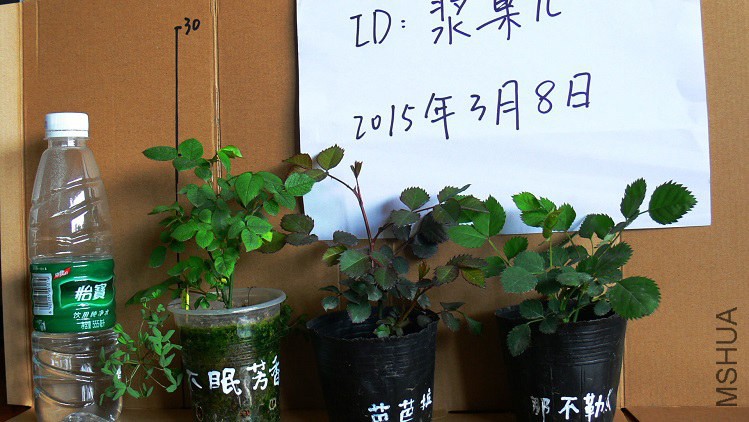 P1090843.jpg