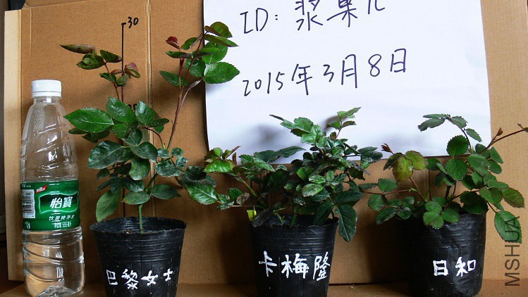 P1090845.jpg