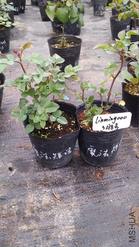 20150308_163759.jpg