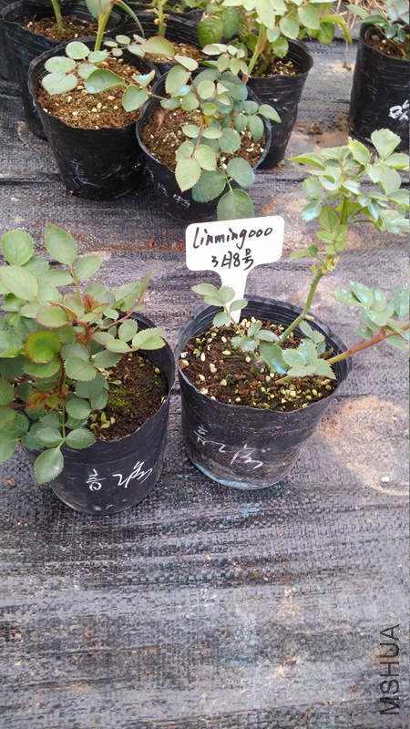 20150308_164222.jpg