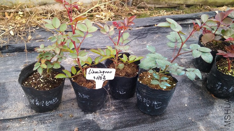 20150308_164254.jpg