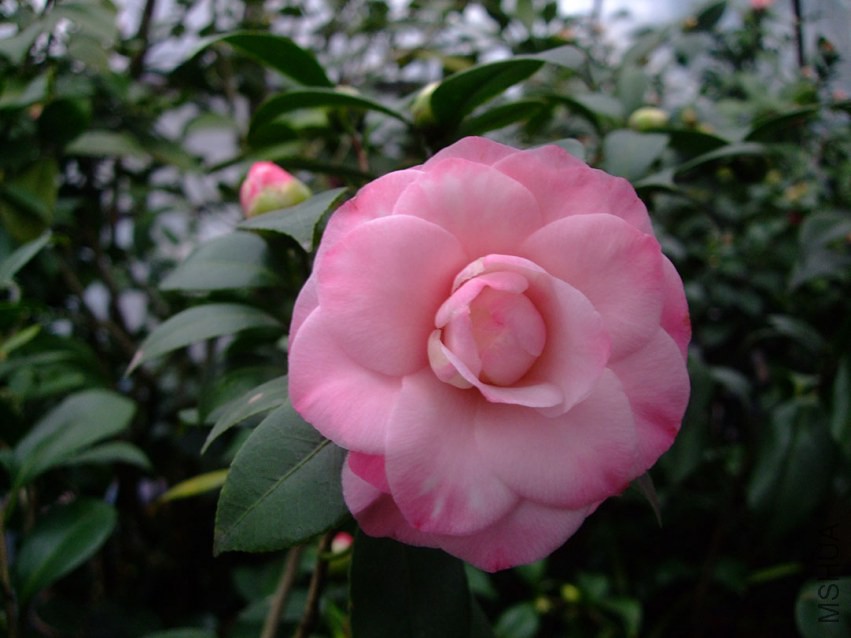 ţ�������� 2015-2-26 151w.jpg