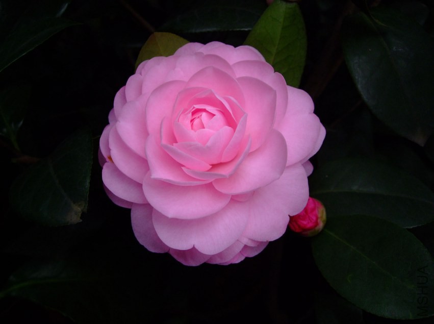 ����� 2015-3-7 012w.jpg