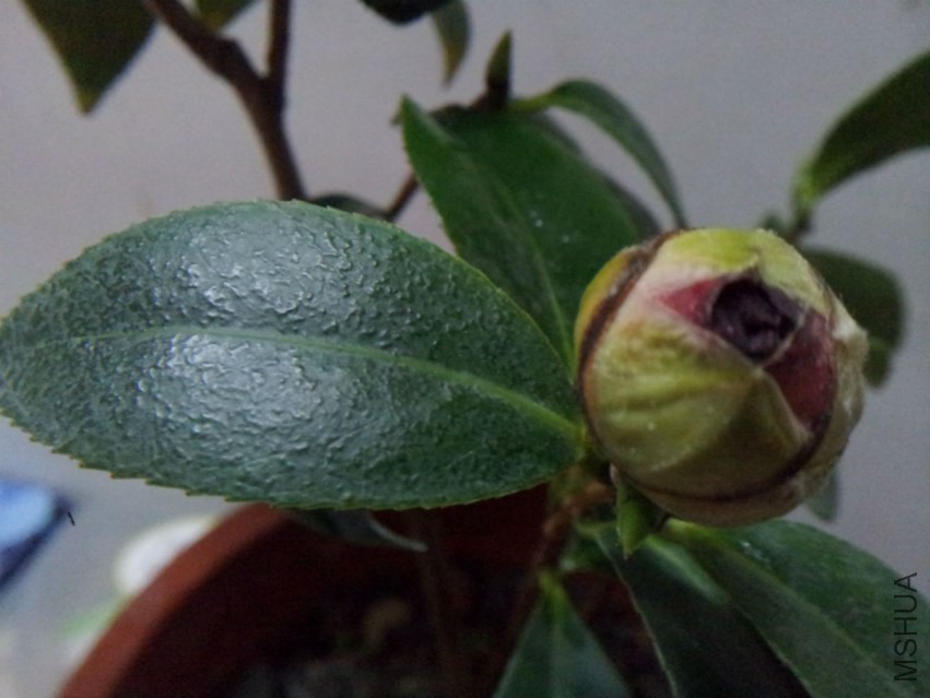 20150302_200646.jpg