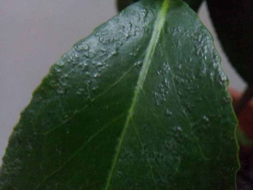 20150302_200839.jpg