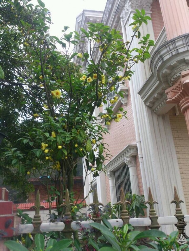 QQͼƬ20150309123338.jpg