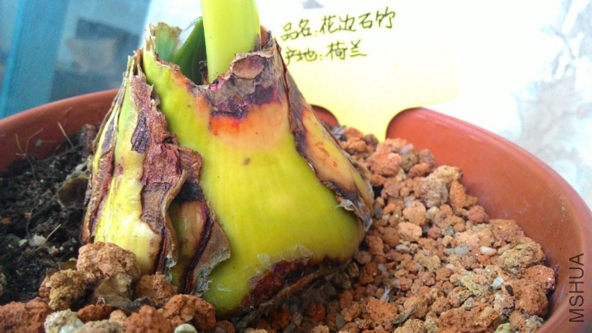 ��30�����������1��--2�����º󡰻���ʯ�񡱳����������٣�2��.jpg