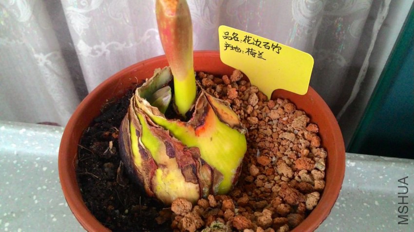 ��29�����������1��--2�����º󡰻���ʯ�񡱳����������٣�1��.jpg