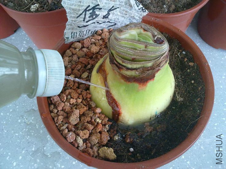 ��27�����������8��--͸�ܡ�����顱ϡ��Һ.jpg