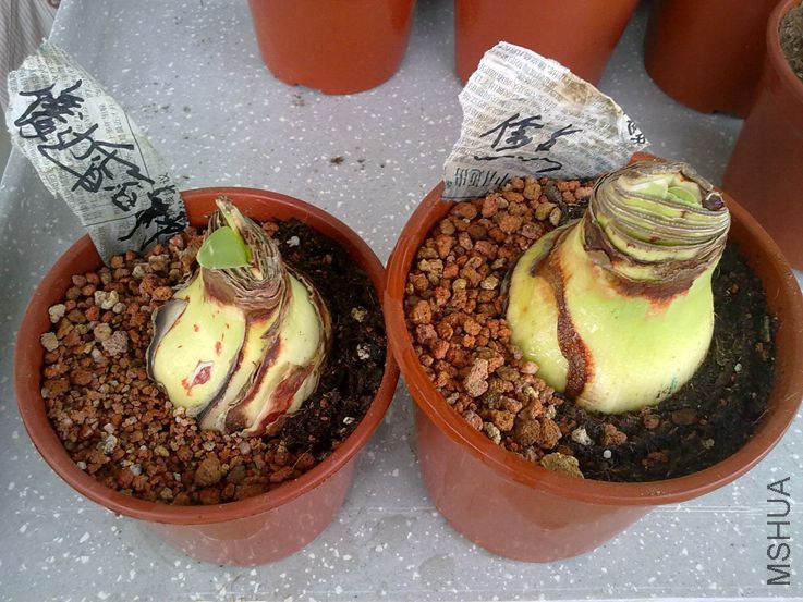 ��28�����������9��--��͸�ܡ�����顱ϡ��Һ����������.jpg