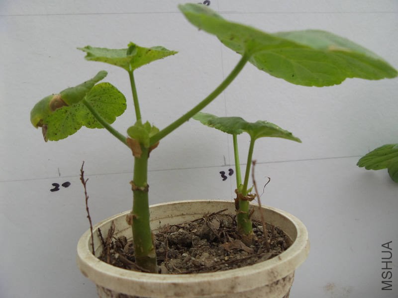 20150309_122136.jpg