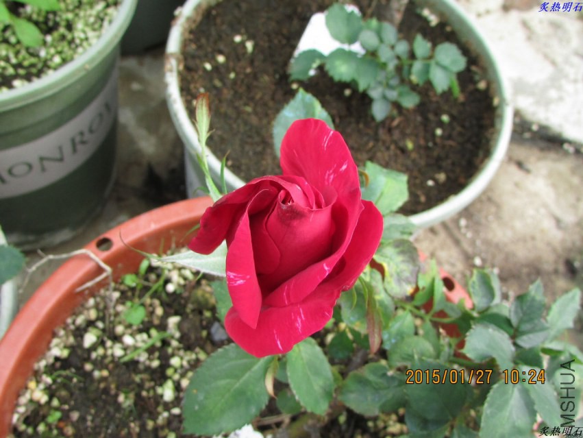 IMG_6270_nEO_IMG.jpg