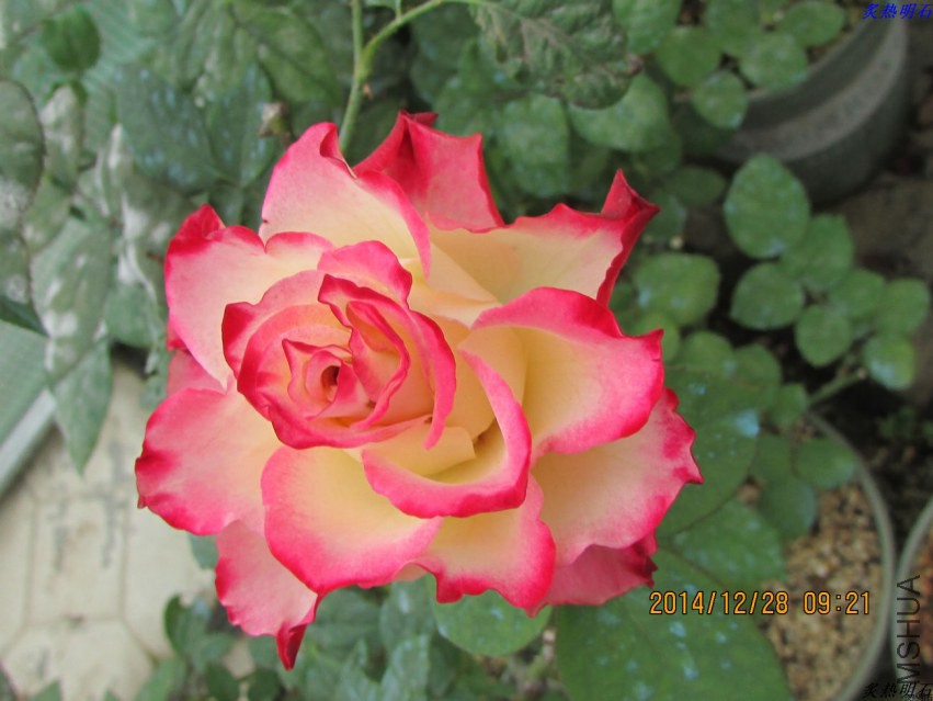 IMG_3902_nEO_IMG.jpg