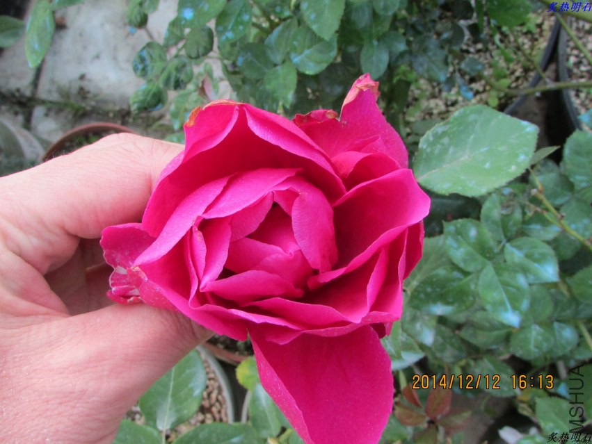 IMG_3215_nEO_IMG.jpg