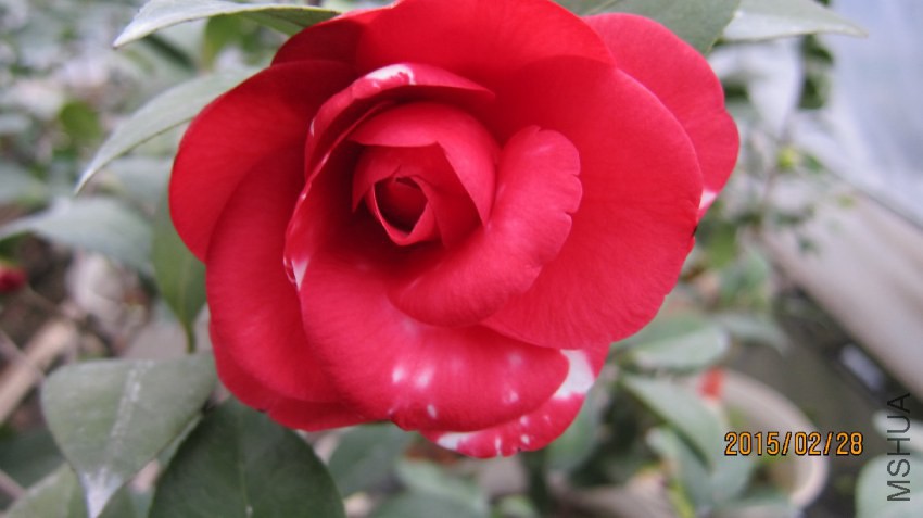 �������