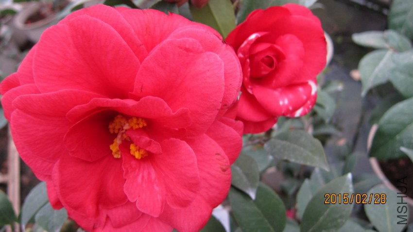 �������