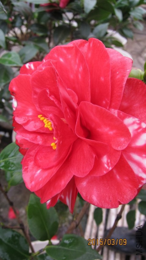 �������