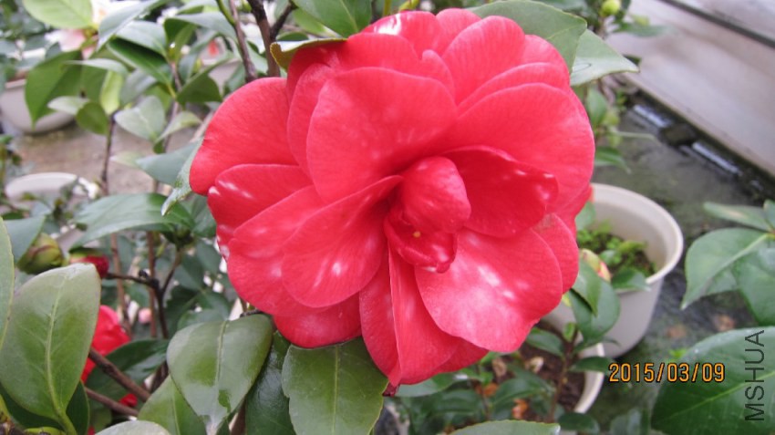 �������