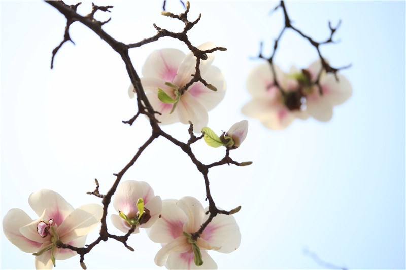 3��8�գ����������� (13).JPG