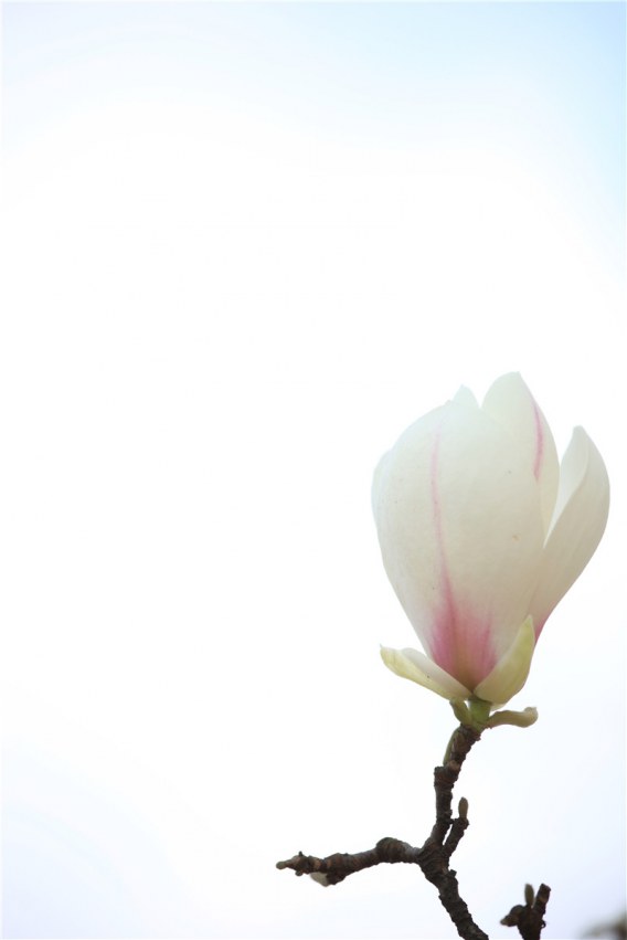 3��8�գ����������� (15).JPG