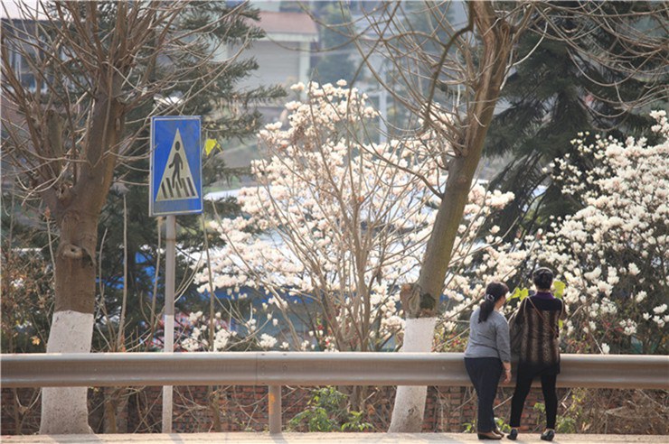 3��8�գ����������� (17).JPG