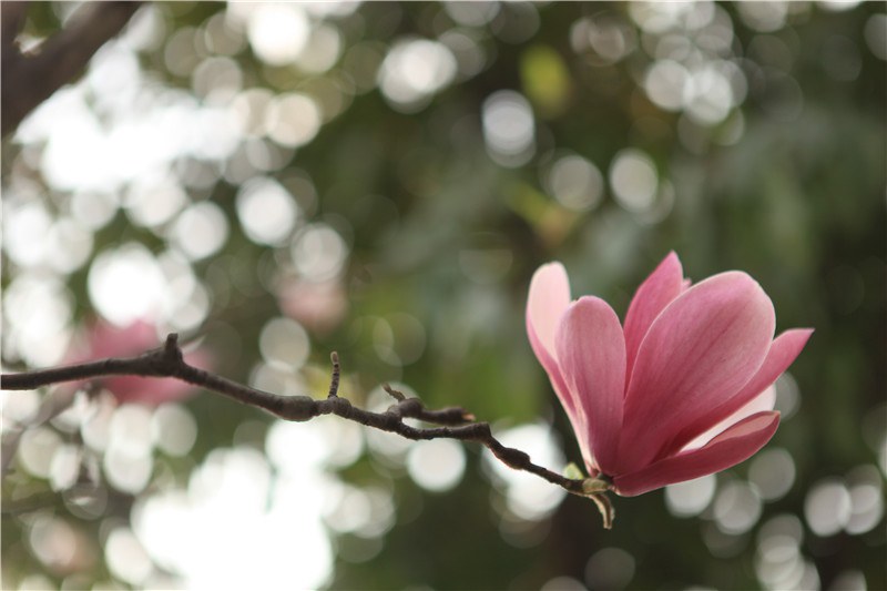 3��8�գ����������� (18).JPG