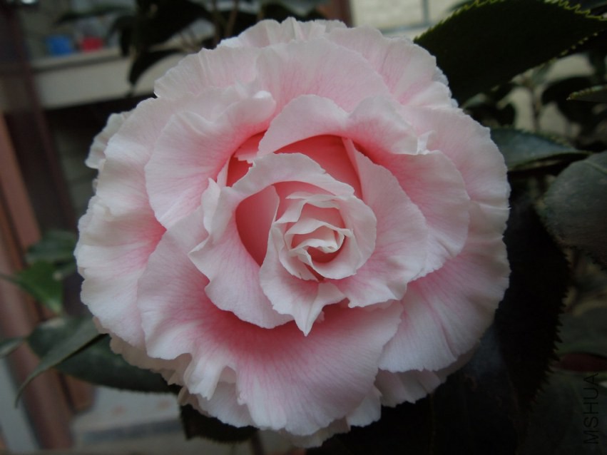 DSCN4022.JPG