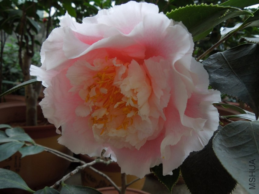 DSCN4058.JPG