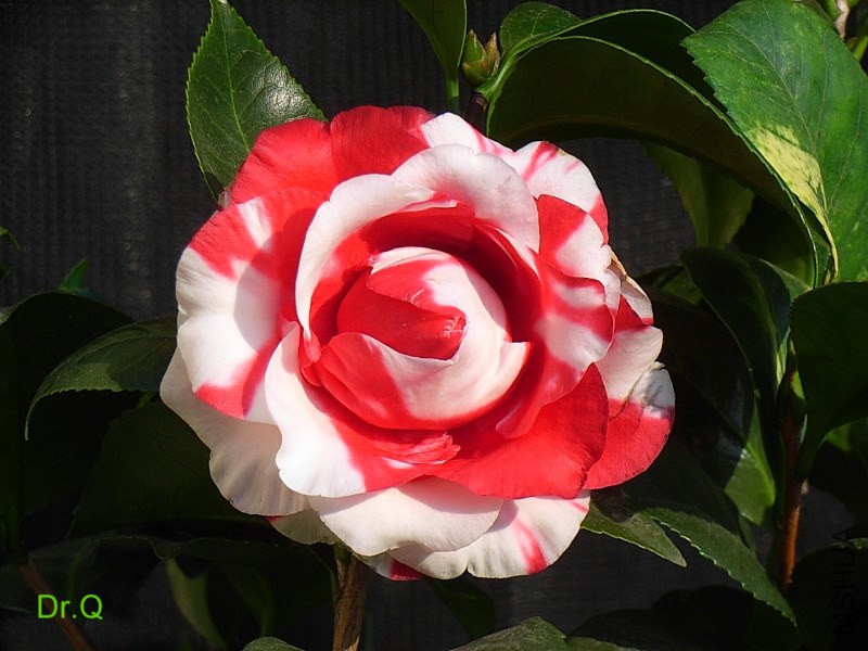 1-����ِŮ��.JPG