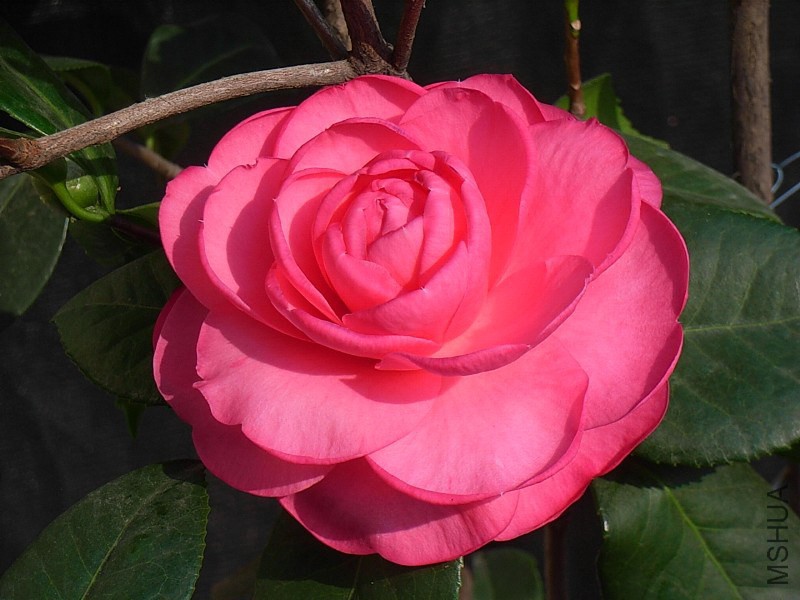 2-�ɼ�˼��.JPG