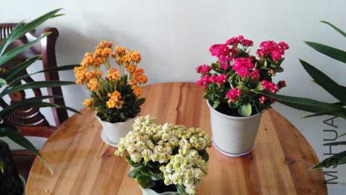 IMG_20150218_104142.jpg