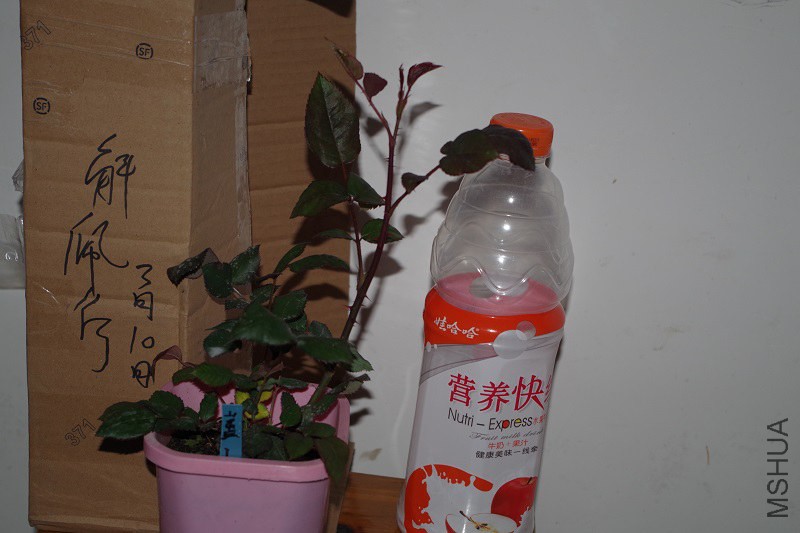 Ѭ��.JPG