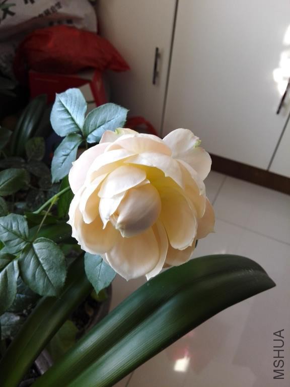 IMG_20150310_082455.jpg