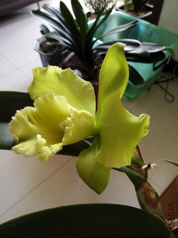 IMG_20150310_082445.jpg