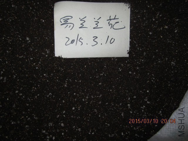 IMG_9024.JPG