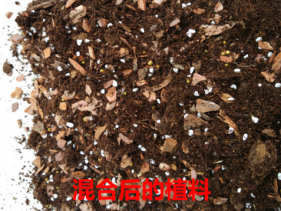 QQͼƬ20150310193814_��ͼ��.png
