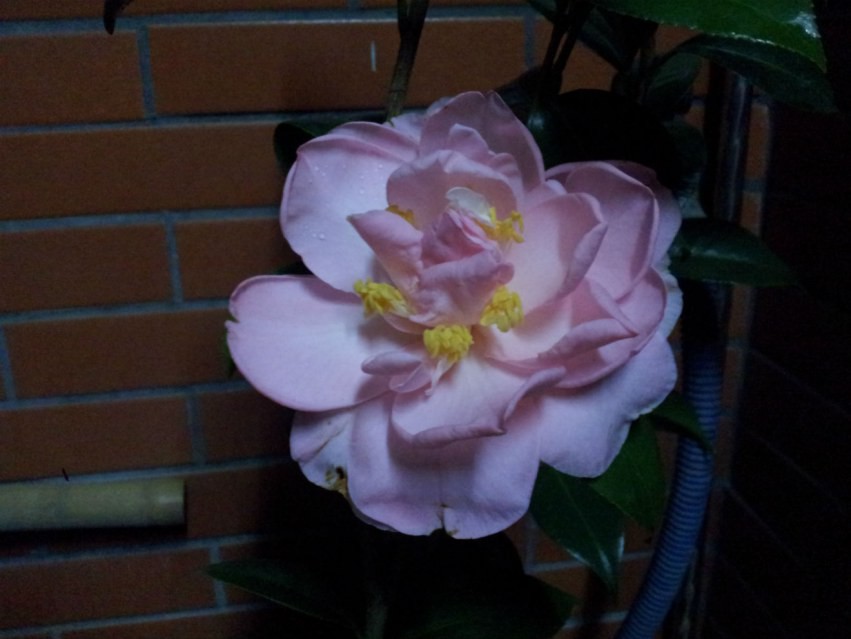 20150303_235355.jpg