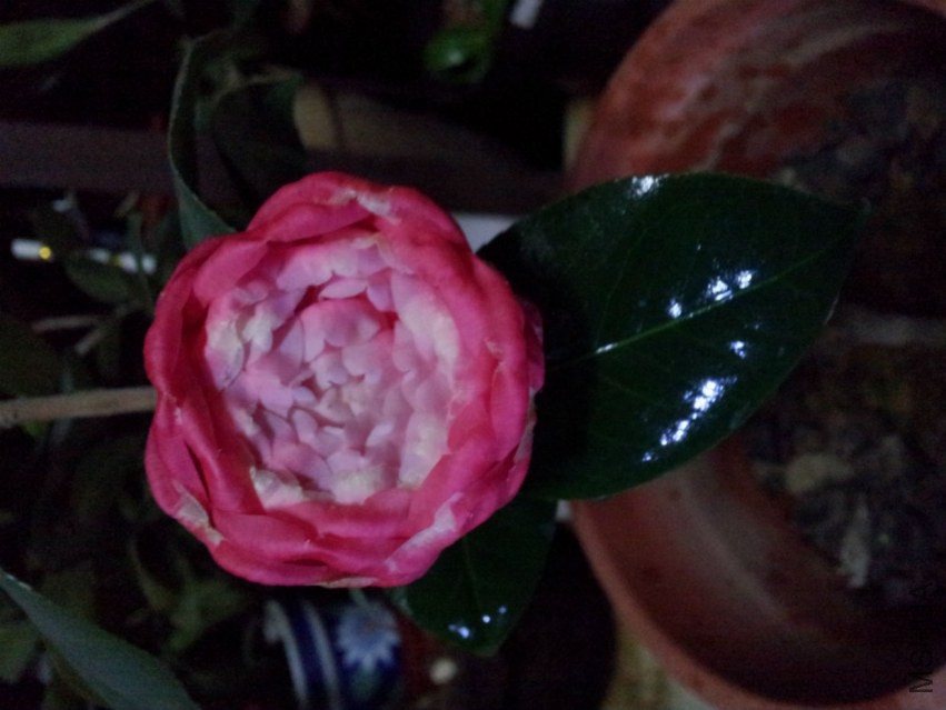 20150303_230107.jpg